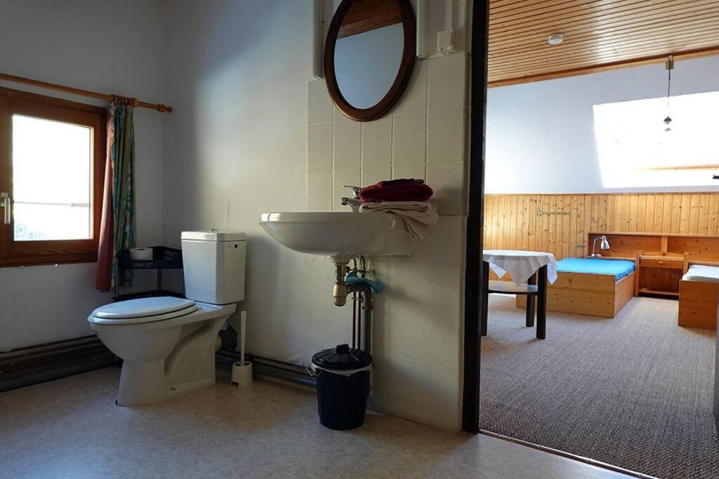 Appartement Dans Vielle Ferme Au Coeur Des Vosges Plainfaing Exterior photo